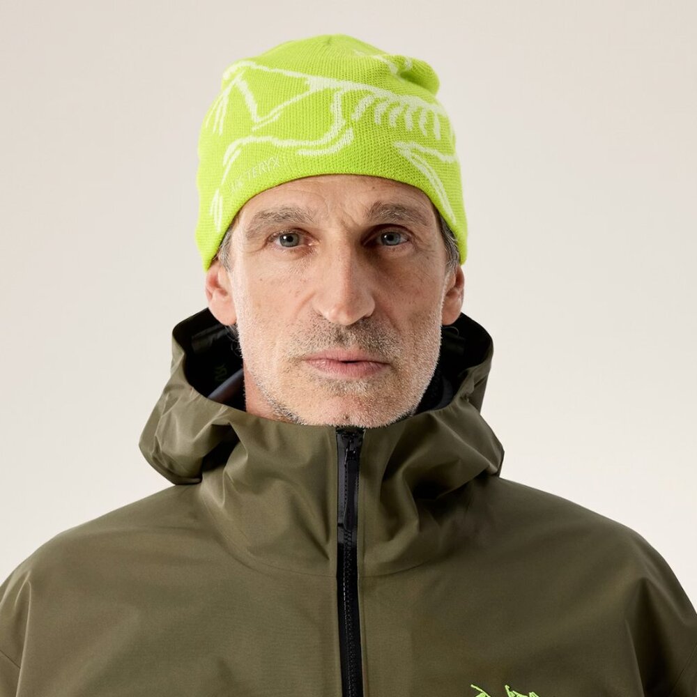 Arc’teryx Bird Head Toque Beanie - Mantis / Arctic Silk